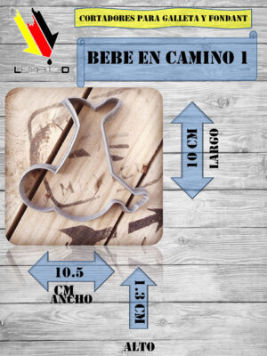BEBE EN CAMINO