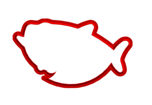 BABY SHARK 8