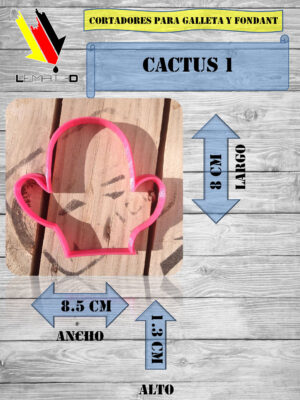 CACTUS 1