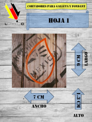 HOJA 1