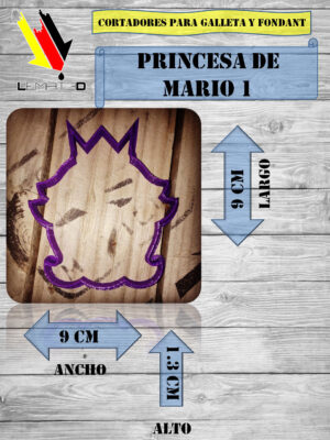 PRINCESA DE MARIO 1