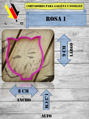 ROSA 1